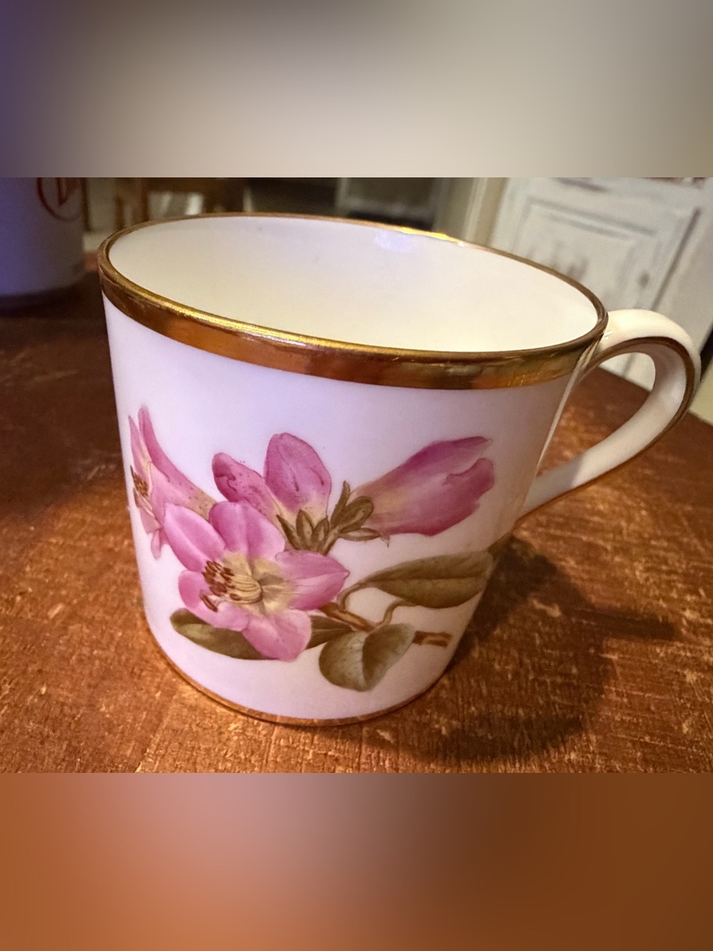 Vintage Rhododendron tea cup by spore